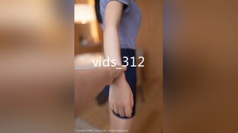 vids_312