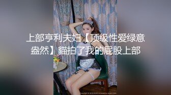 上部亨利夫妇【顶级性爱绿意盎然】貓拍了我的屁股上部