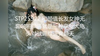 6/17最新 傲娇御姐私人玩物后入翘臀颜值女神精湛采精VIP1196