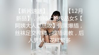 喜欢打桩的女骑士