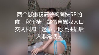 大奶，少妇口交。