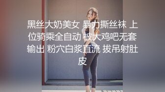 女仆后续2