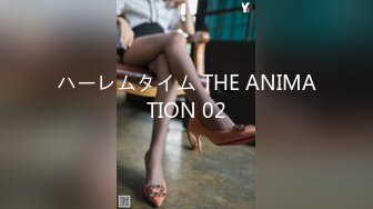 ハーレムタイム THE ANIMATION 02