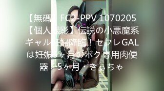 【無碼】FC2-PPV 1070205 【個人撮影】伝説の小悪魔系ギャル妊婦降臨！セフレGALは妊娠5ヶ月のボク専用肉便器　5ヶ月・きぃちゃ