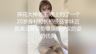 女友的大胸