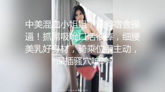 母狗py后入集锦