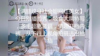 浪小辉系列：被反攻