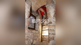 -土豪东莞找鸡系列之狂草街头溜狗的外省少妇