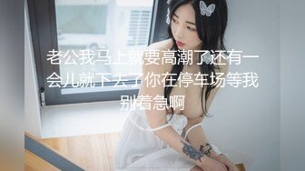 【AI换脸视频】郑秀珍 女神的圣诞礼物