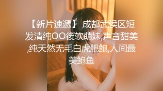 清纯女仆斥候主人