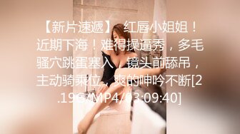   广州大奶子离异美少妇和社会哥酒店开房啪啪啪 完美露脸粤语对白