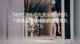 TWTP 游乐场女厕全景偷拍几个撅着屁股嘘嘘的高颜值美女 (3)