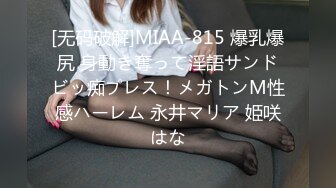 IESM-022(1iesm00022)[IENERGY]人妻縄縛沢田麗奈