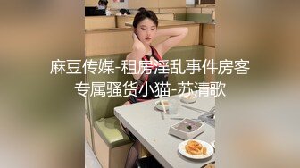 麻豆传媒-租房淫乱事件房客专属骚货小猫-苏清歌