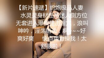 94女友吊带黑丝美腿淫荡骚逼呻吟