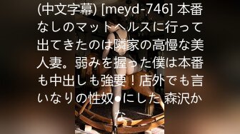 仆を女手一つで育ててくれた、最爱の义姉が最低な友人に寝取られて… 神宫寺ナオ