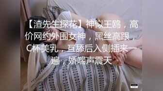 【渣先生探花】神似王鸥，高价网约外围女神，黑丝高跟，C杯美乳，互舔后入侧插来一遍，娇喘声震天