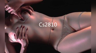 Cs2810