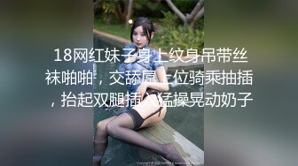  18网红妹子身上纹身吊带丝袜啪啪，交舔屌上位骑乘抽插，抬起双腿插入猛操晃动奶子